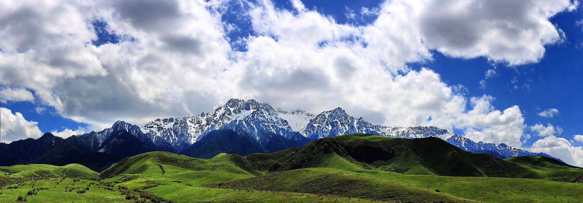 DP39159 Panorama.jpg