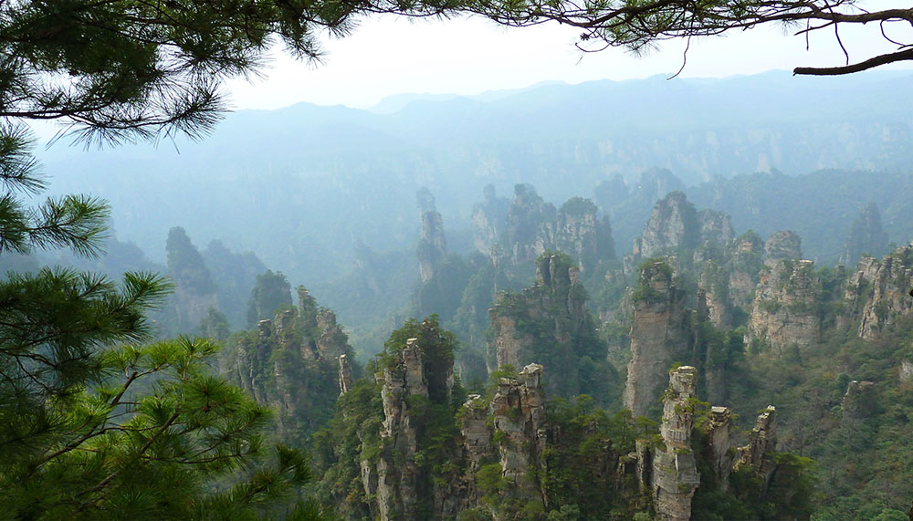 ���� P1010295.JPG