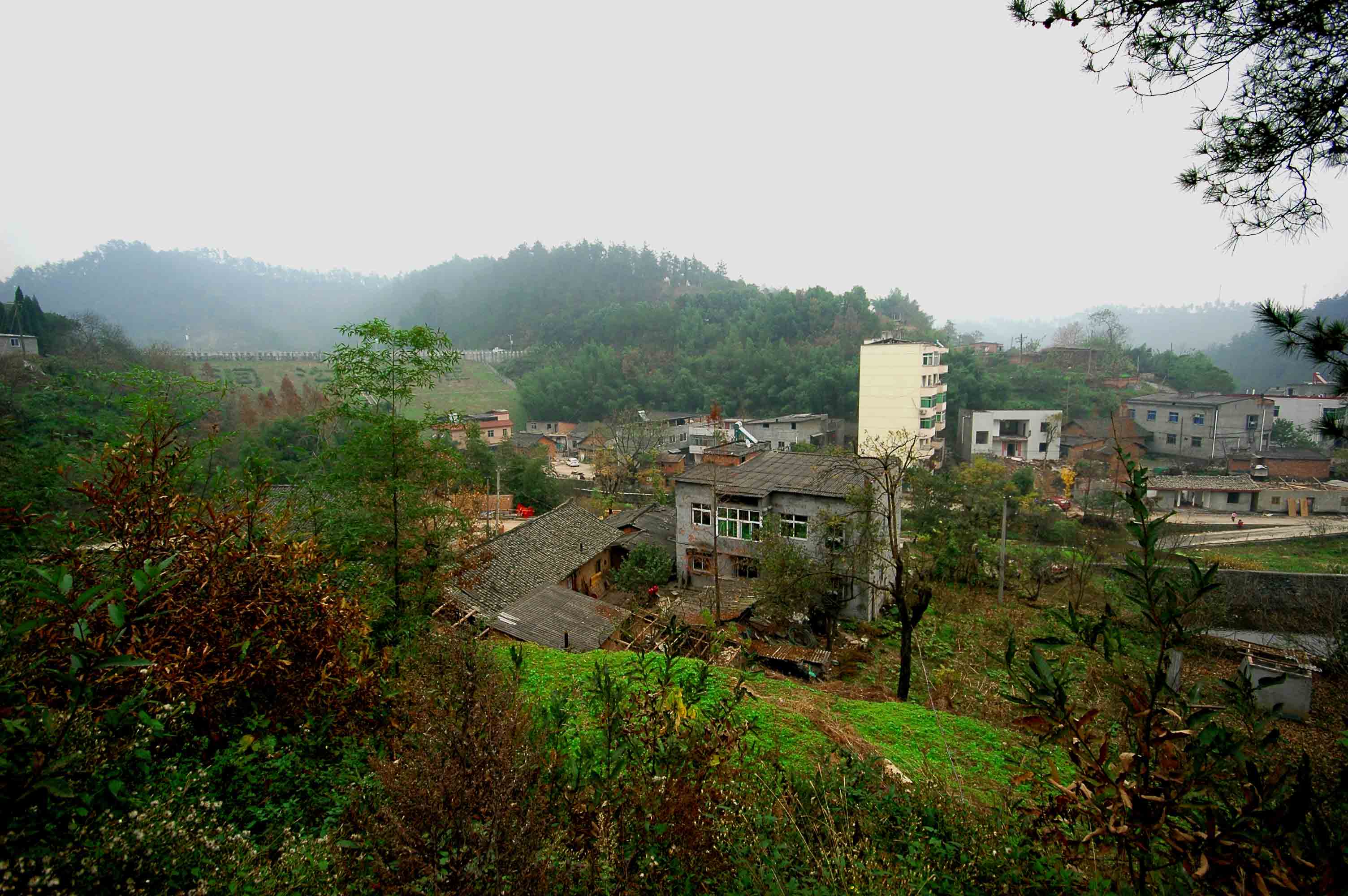 1-2011��11��26�ն�Ǩǰ���Ҷ���ˮ���µľ����ׯ��ȫ��