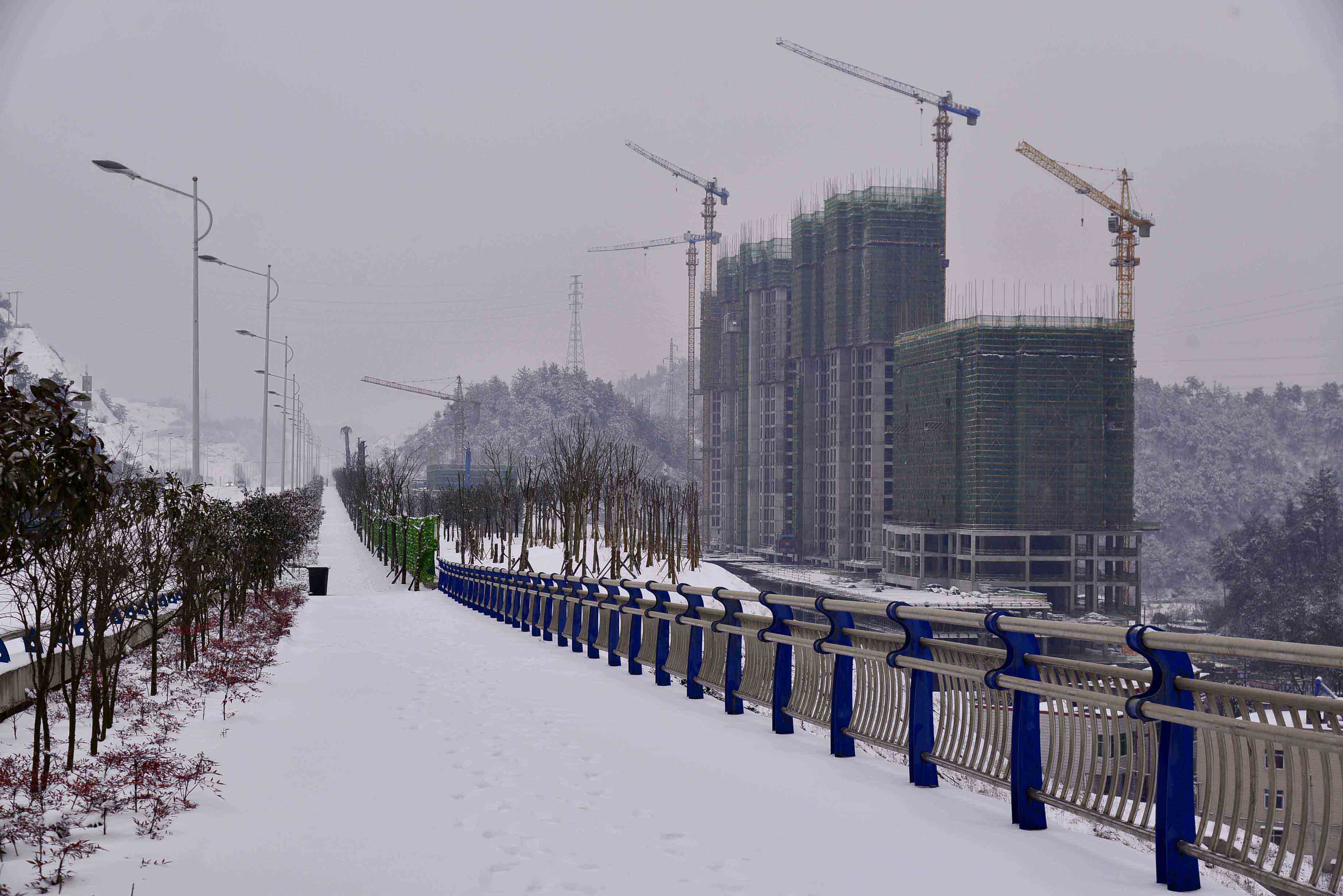 8-2015��1��29�մ�ѩ�е��Ҷ���