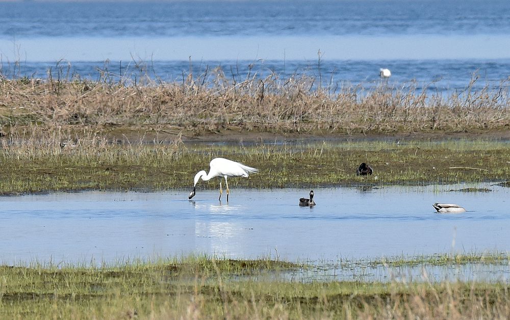 ��Ƭ��԰���� 733_����.jpg