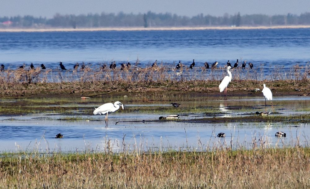 ��Ƭ��԰���� 739_����.jpg