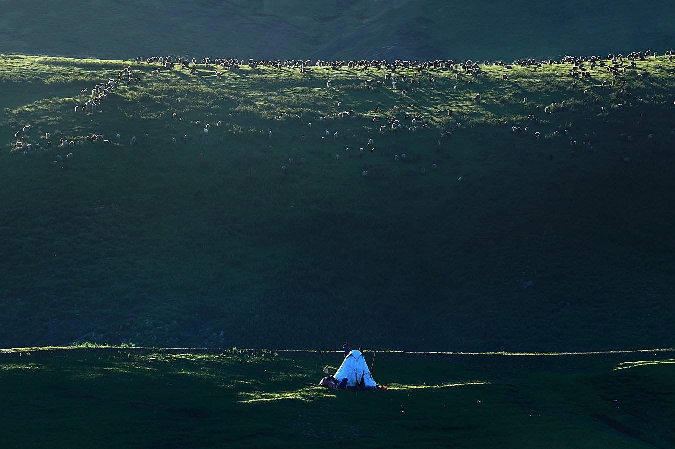 ���ҡ� (2) .jpg