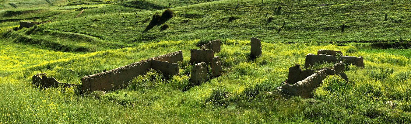 QQD42654 Panorama.jpg