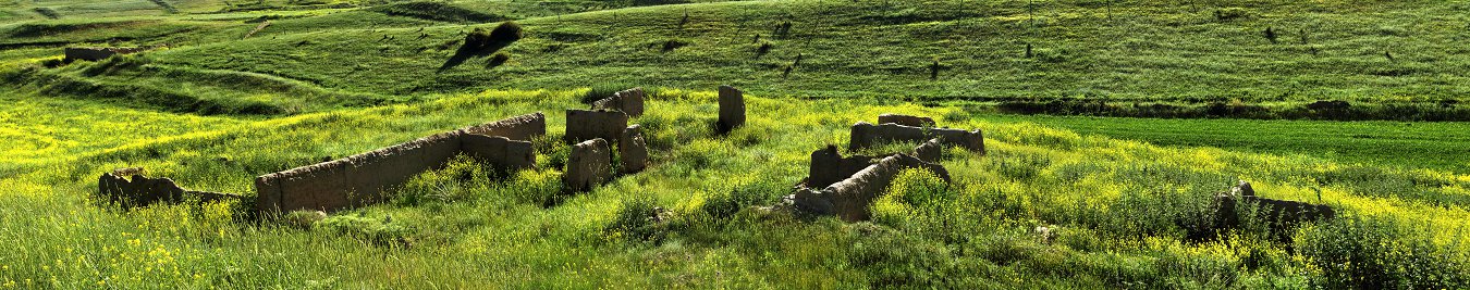 QQD42657 Panorama.jpg