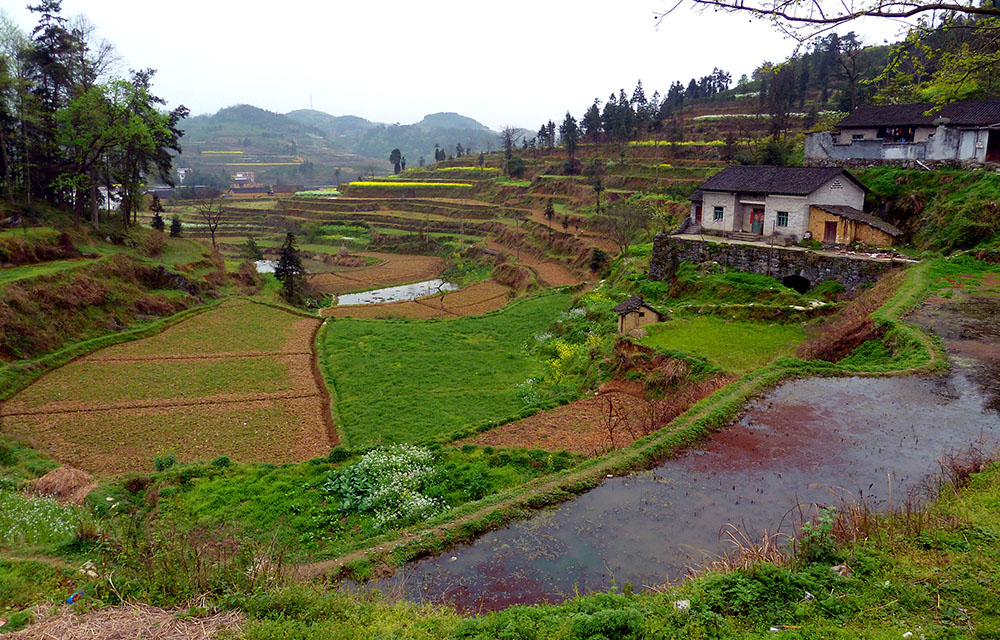 ���� P1010300.JPG