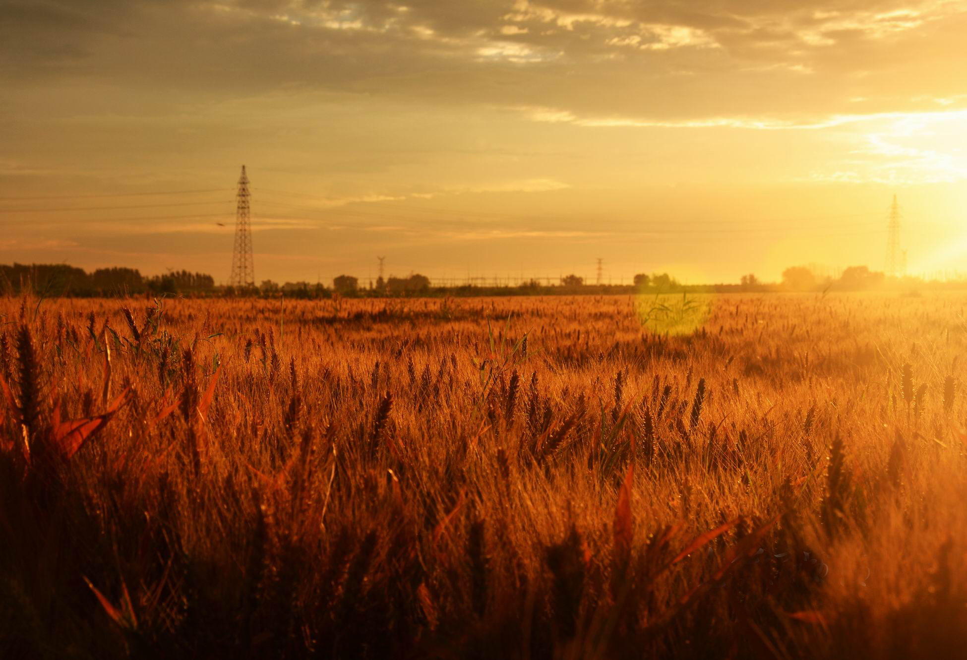 ������С 5.jpg