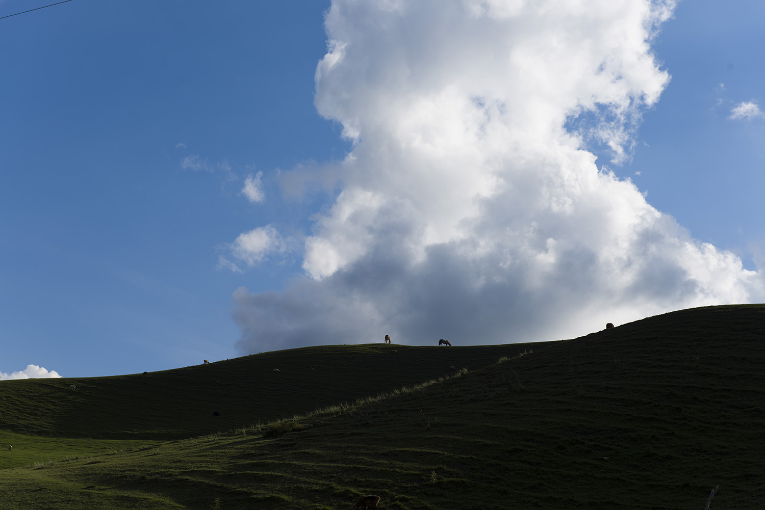 ��ɽ����������