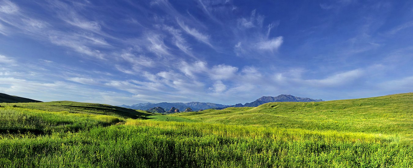 QQD42611 Panorama.jpg