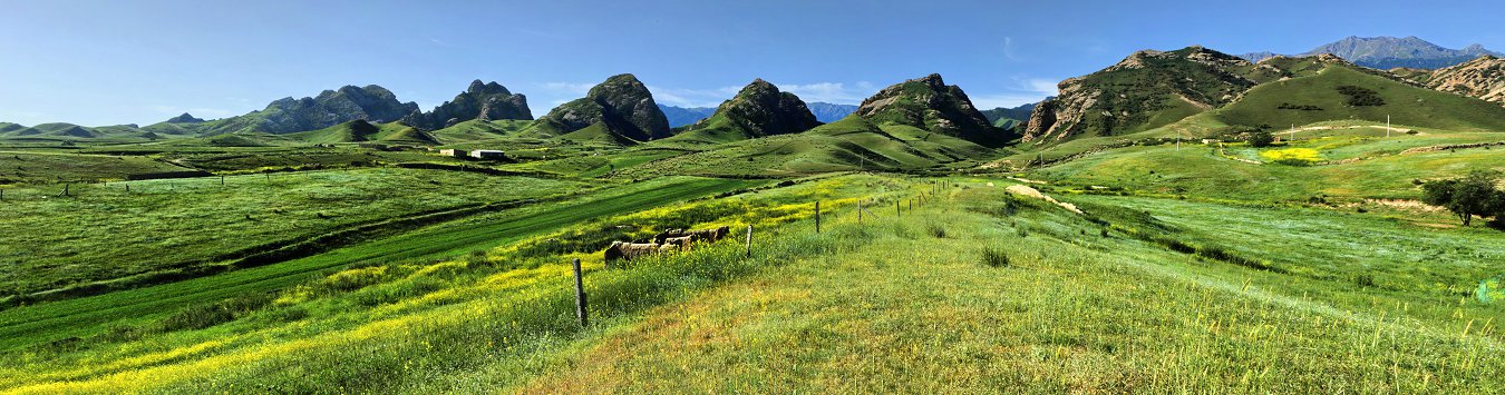 QQD42648 Panorama.jpg