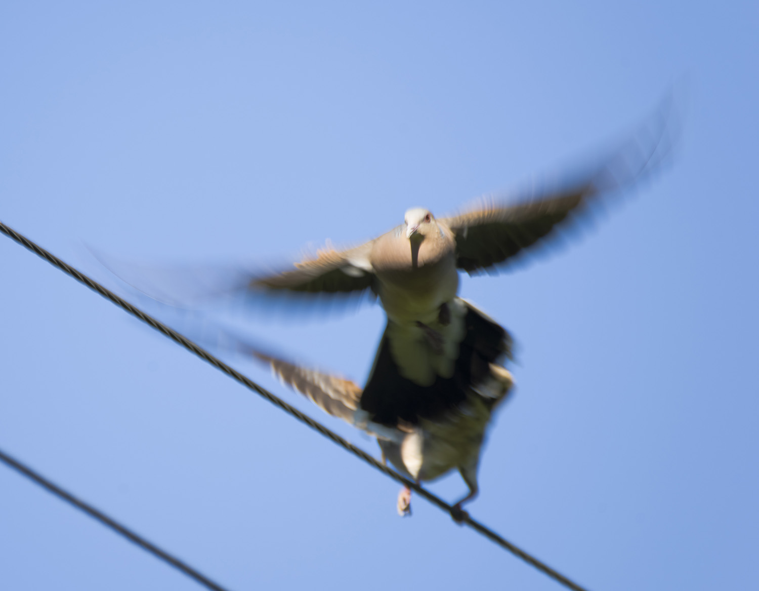 ��ѹ���ϵ�����