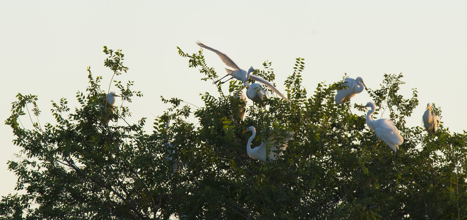 Ⱥ���ǵ��������