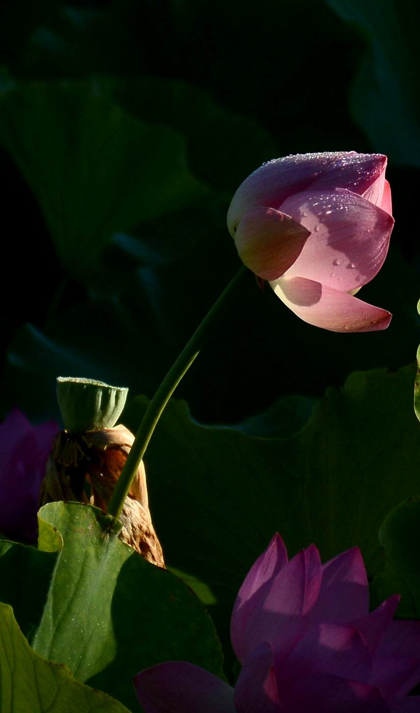 ������С ABC_2761_����.jpg