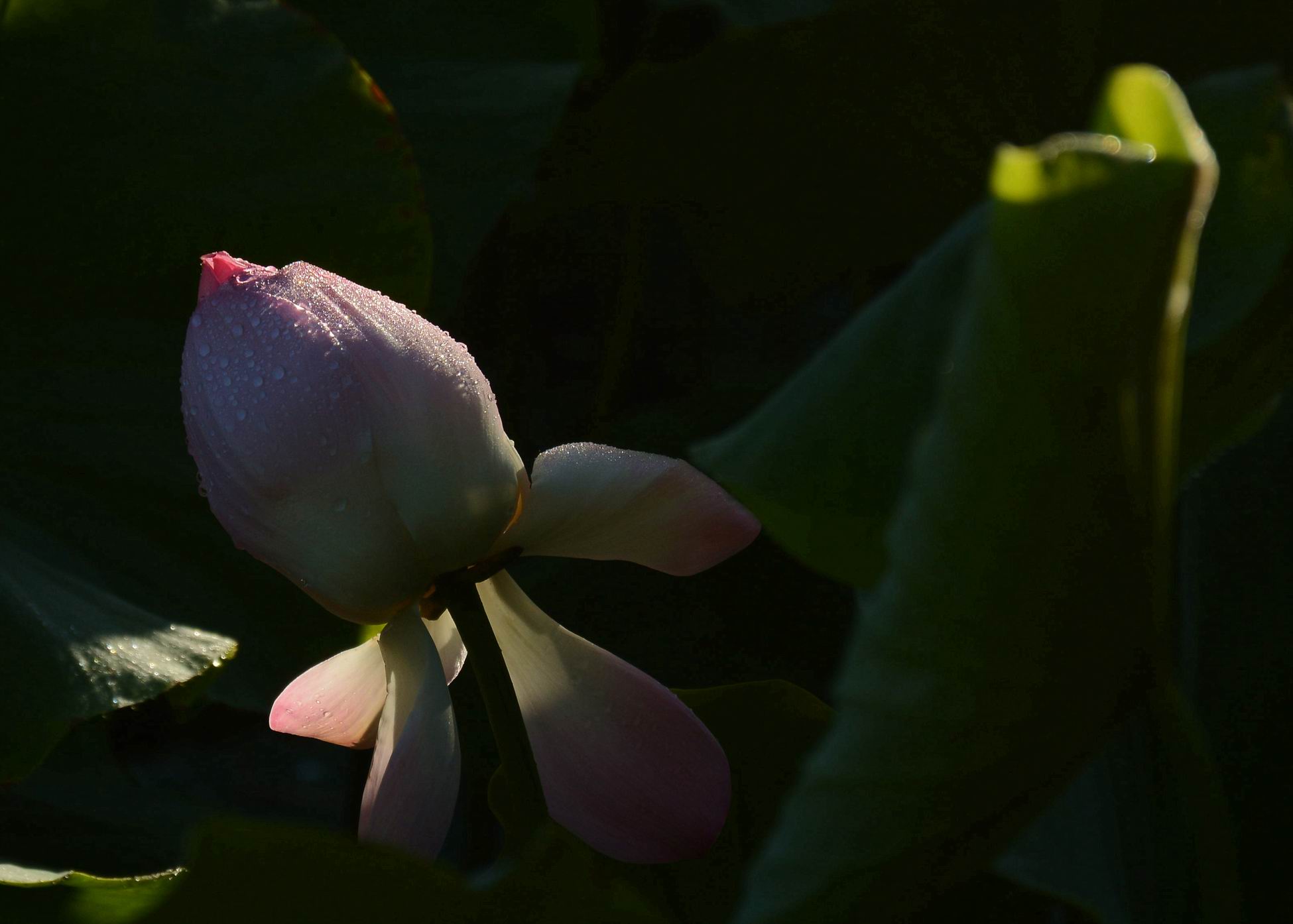 ������С ABC_2705_����.jpg