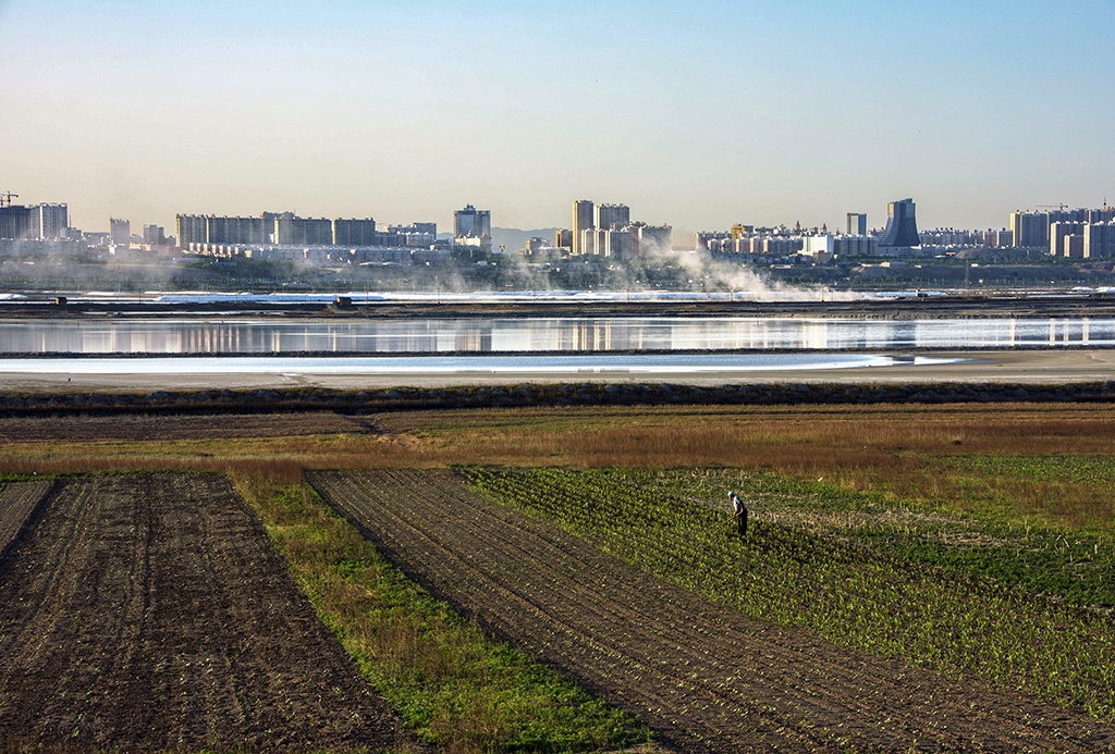 �����ĳ���.....