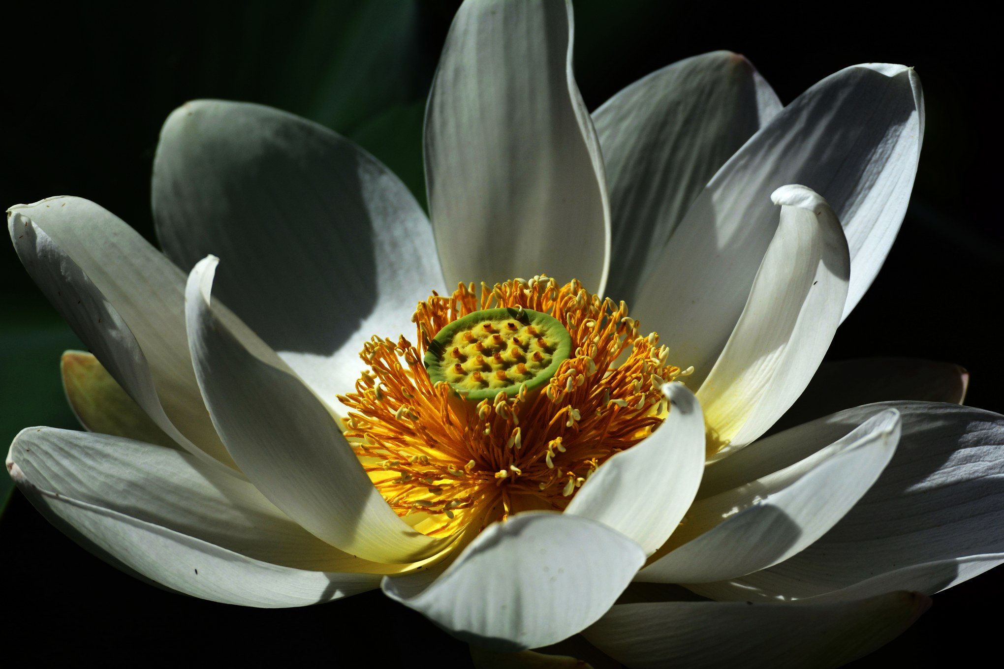 nEO_IMG__DSC3440 (1).jpg