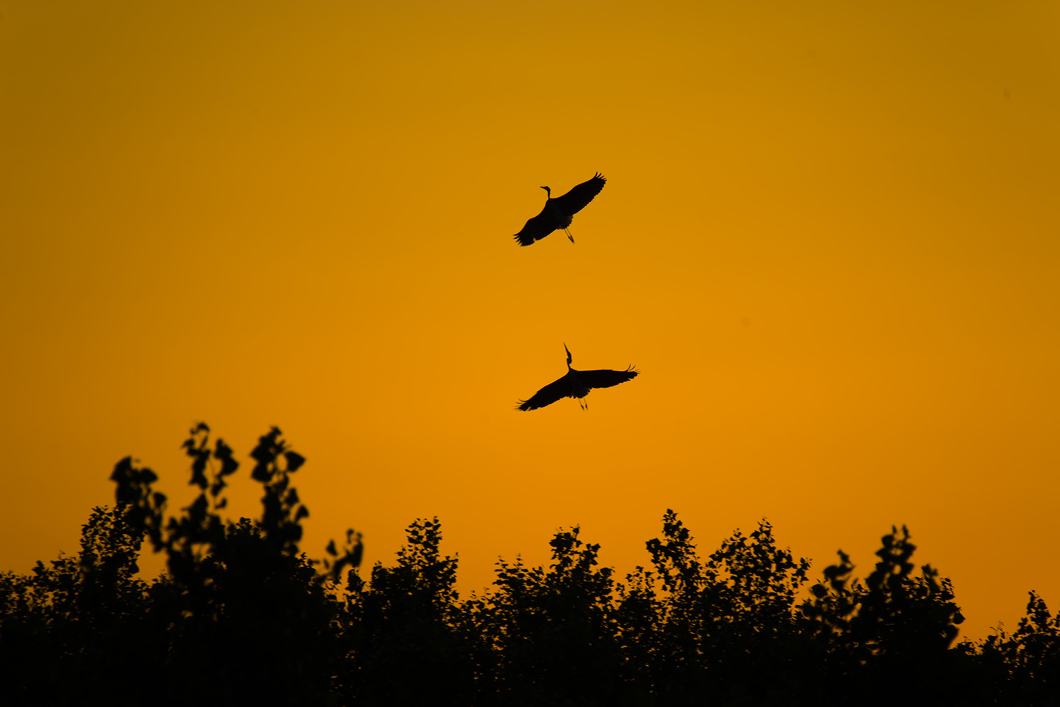 �����Ĺ��̲�����