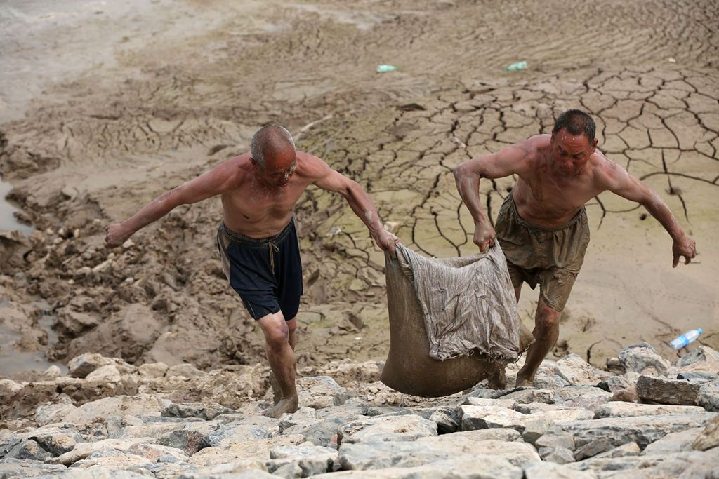 ɽ��ƽ½�ƺ��������֣�Ⱥ�ڰ�����С�������