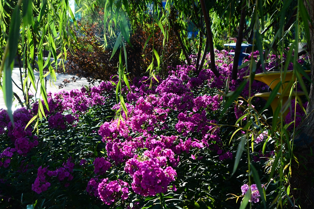 ���ܷ羰1 344_����.jpg