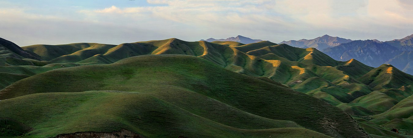 AQQD42706 Panorama.jpg