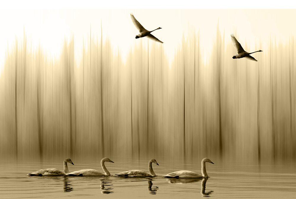 ���㽱������������  ����.jpg