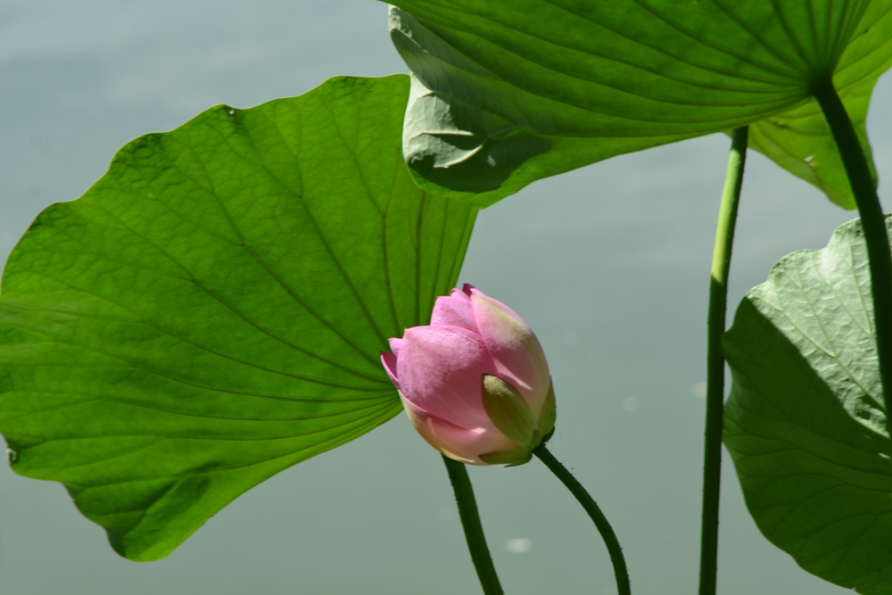 ���ܷ羰 300_����.jpg