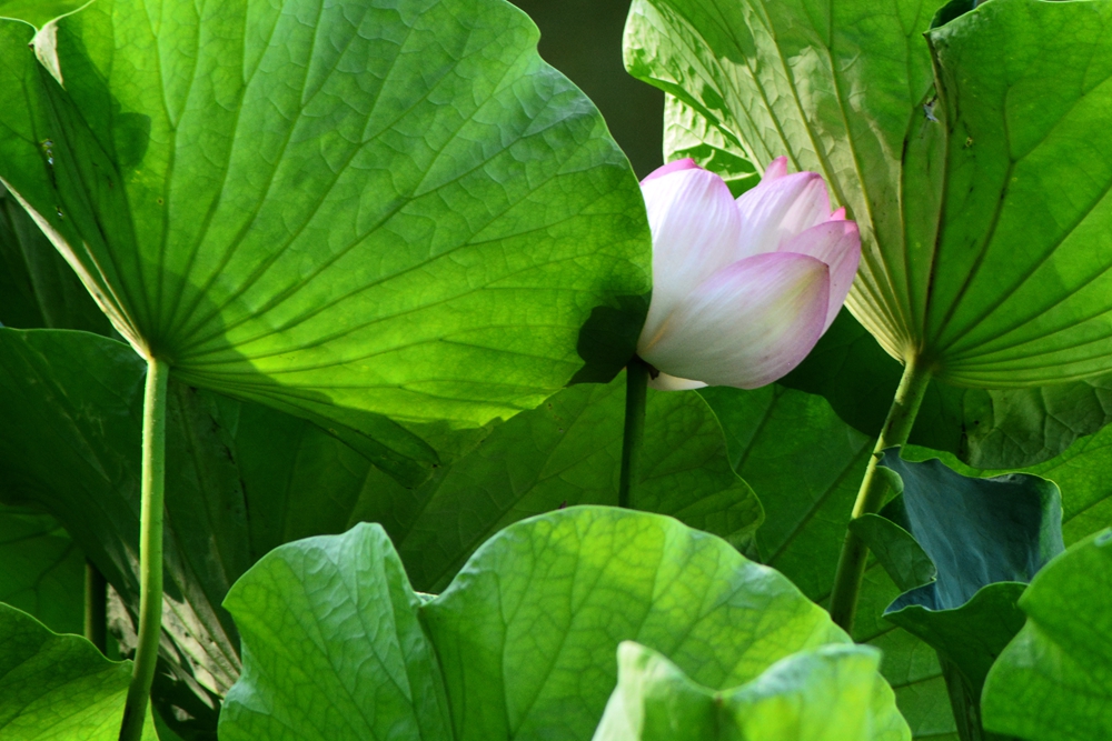 ���ܷ羰 120_����.jpg