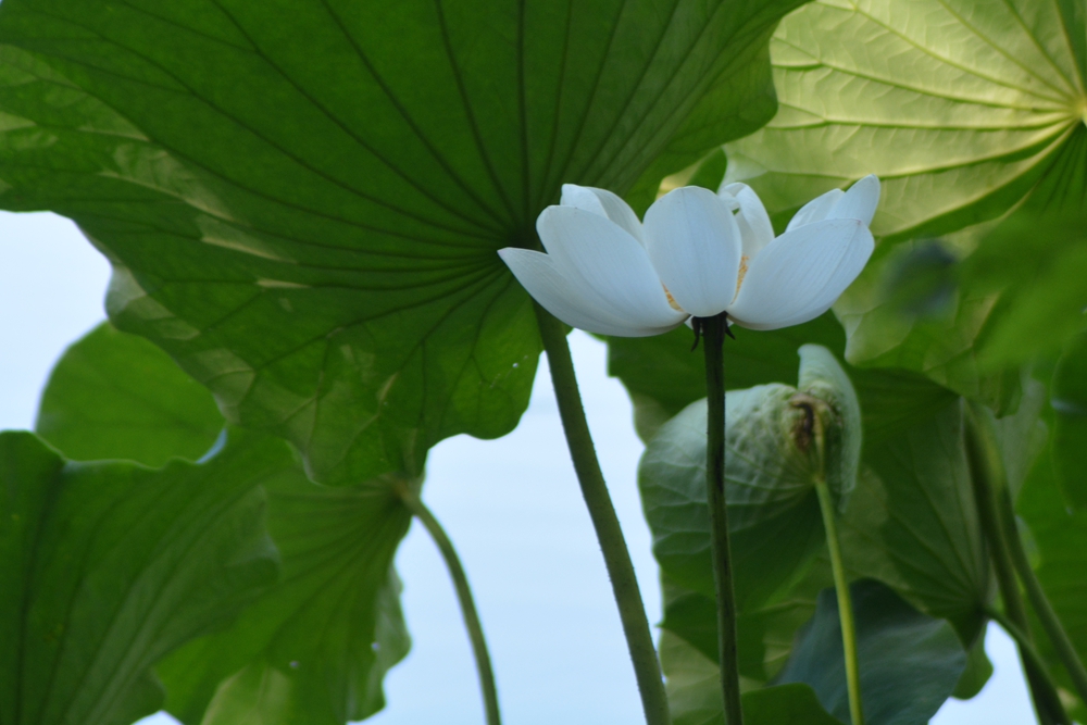 ���ܷ羰 134_����.jpg