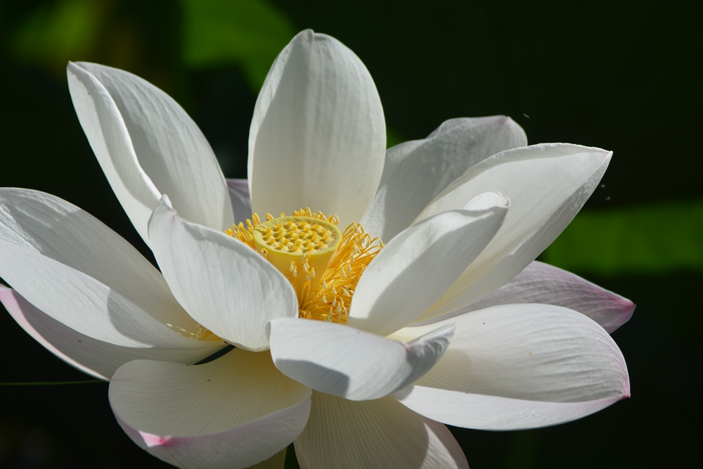 ���ܷ羰 145_����.jpg