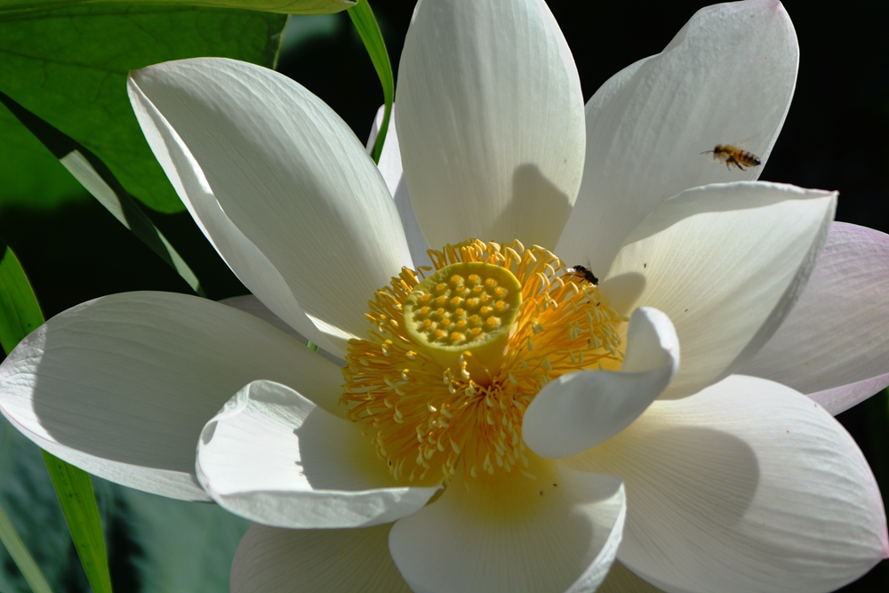 ���ܷ羰 153_����.jpg