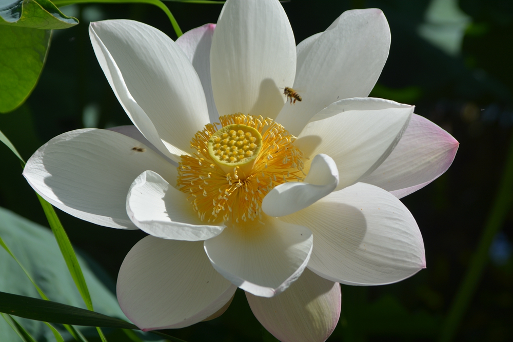 ���ܷ羰 160_����.jpg