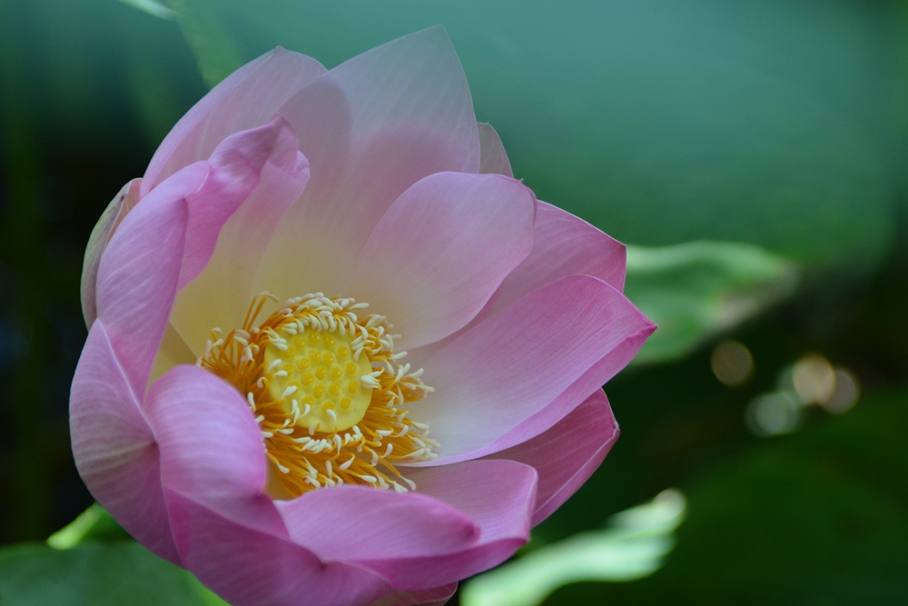 ���ܷ羰 227_����.jpg