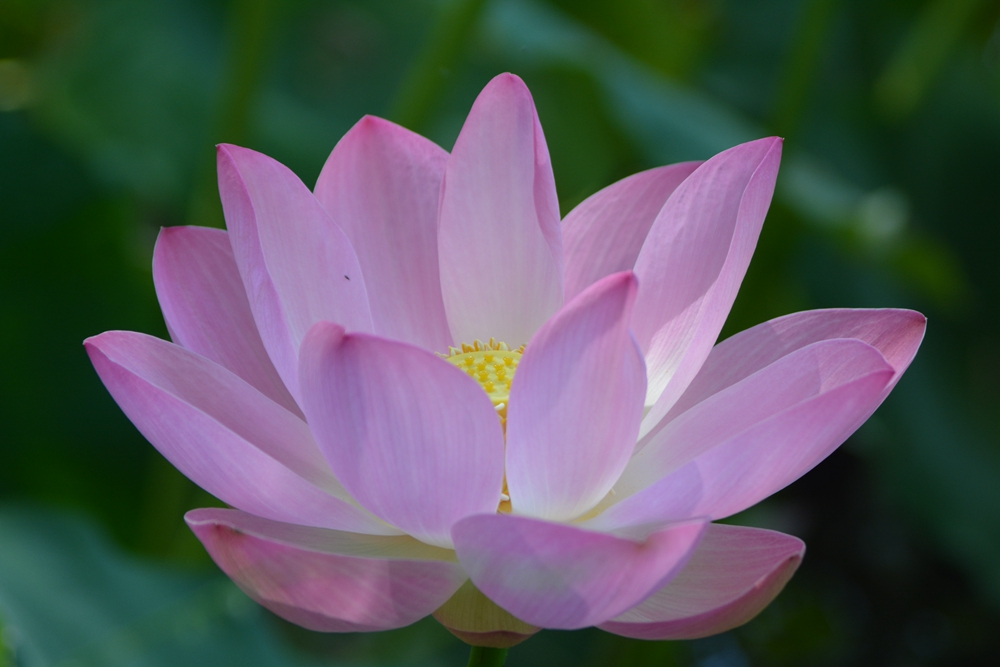 ���ܷ羰 242_����.jpg