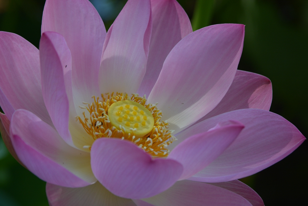 ���ܷ羰 258_����.jpg