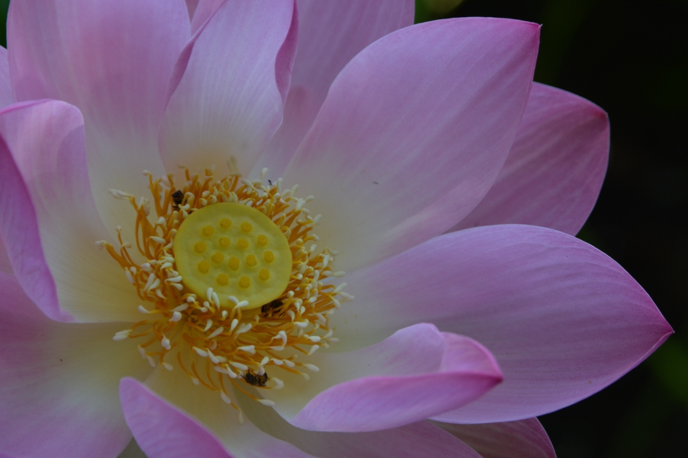 ���ܷ羰 267_����.jpg