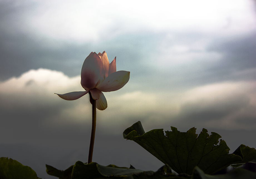 10��η������Ȼ����