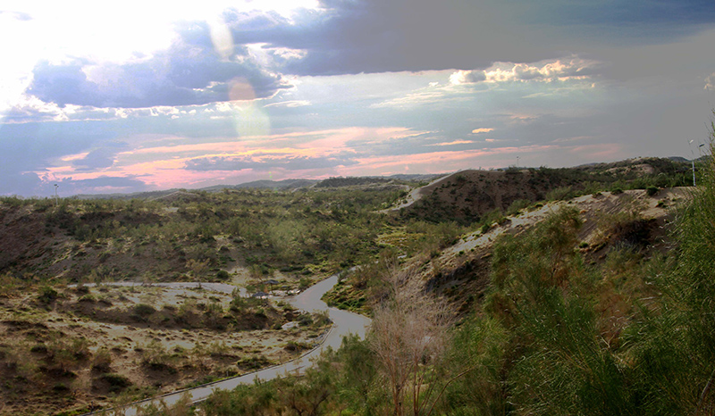 ɳĮ������