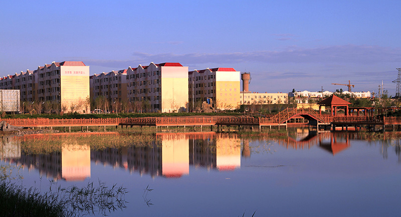 ��¥����