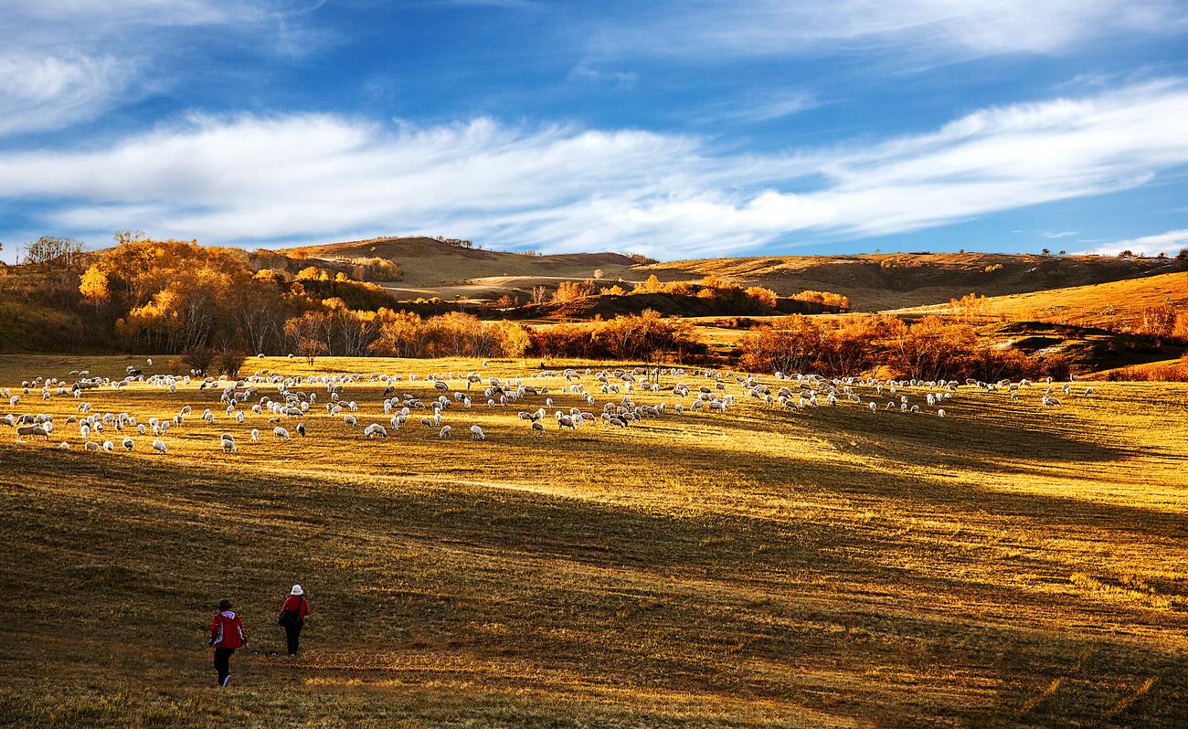 �������� (4).jpg