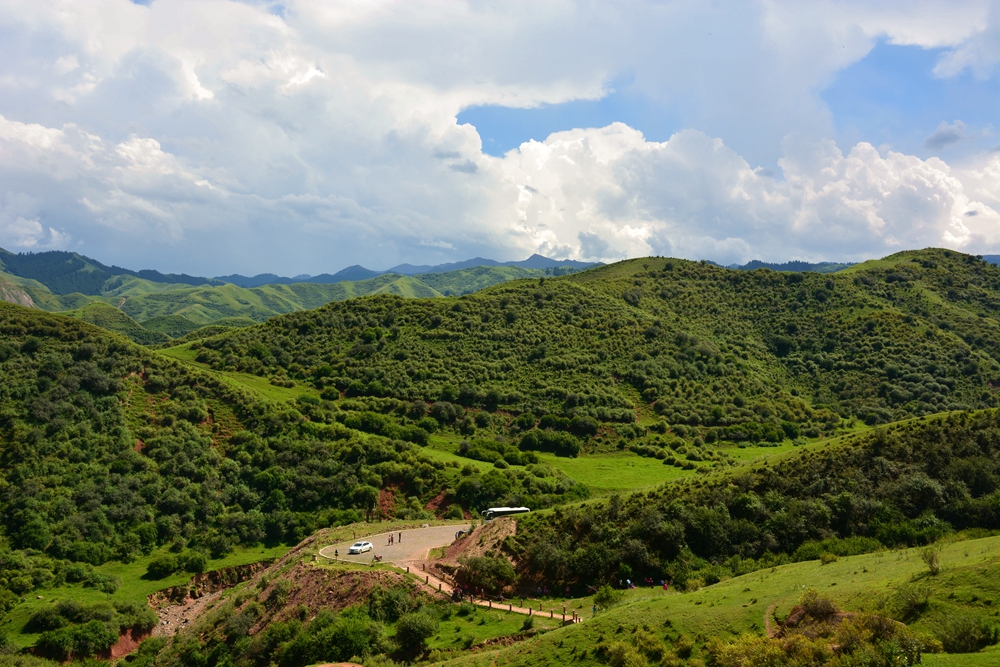 ʯ������ 310_����.jpg