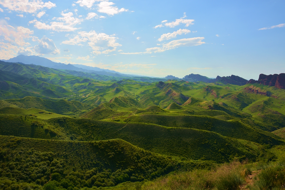 ʯ������ 370_����.jpg