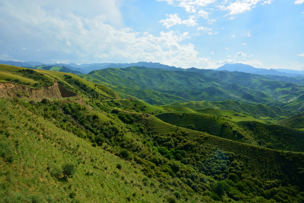 ʯ������ 398_����.jpg