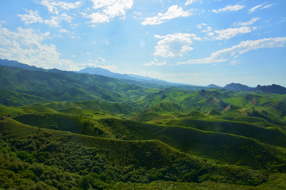 ʯ������ 401_����.jpg