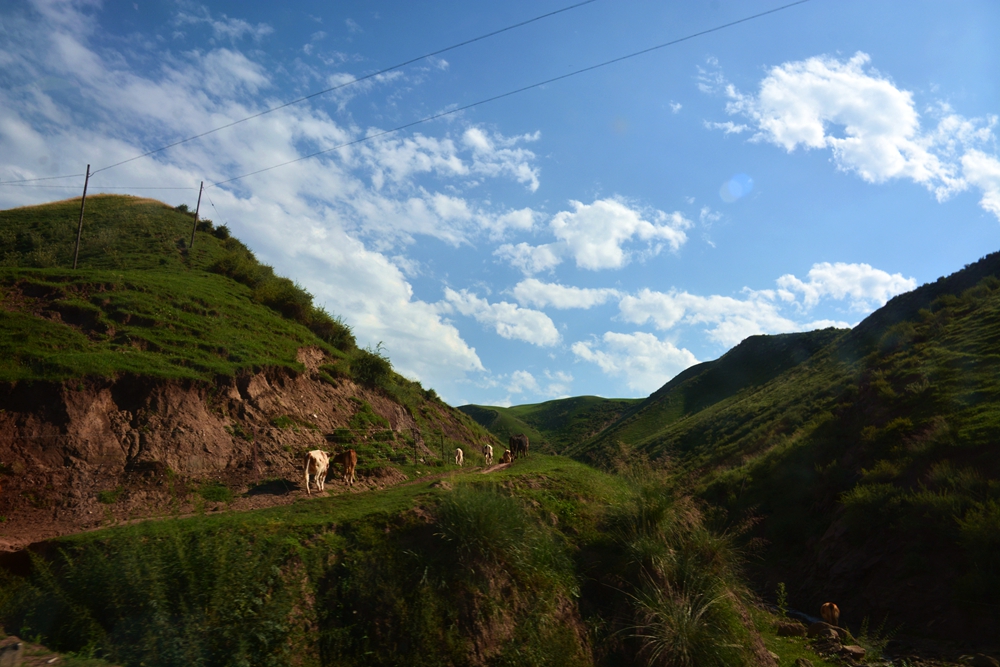 ʯ������ 414_����.jpg