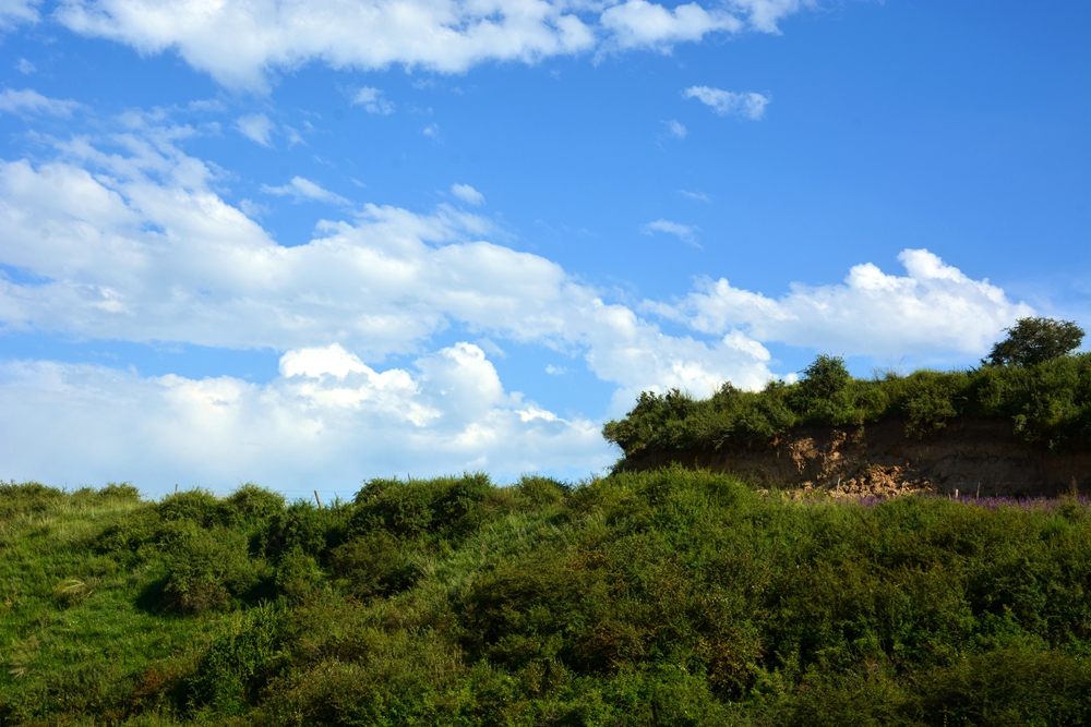 ʯ������ 431_����.jpg