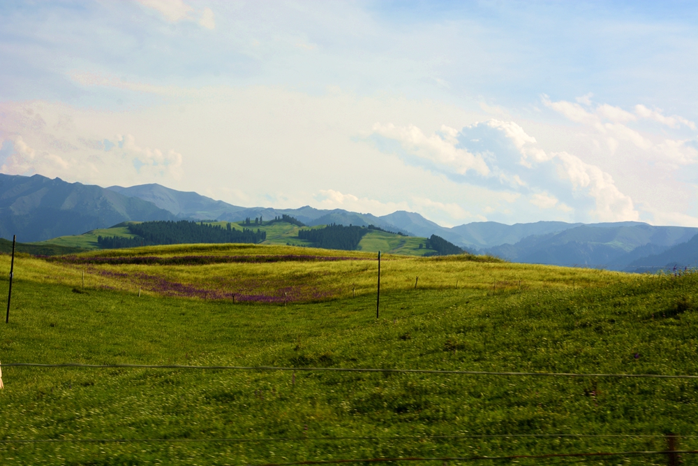 ʯ������ 436_����.jpg