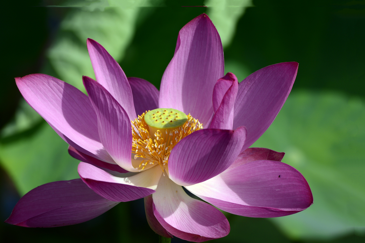 nEO_IMG__DSC3759 (2).jpg