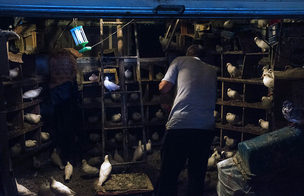 ������.......