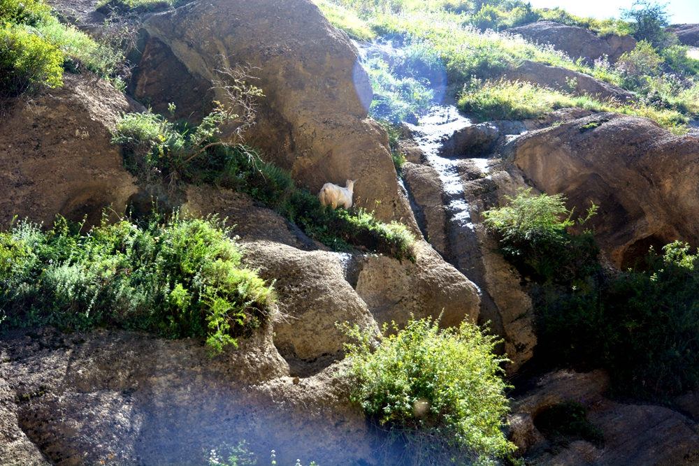 ʯ������ 163_����.jpg