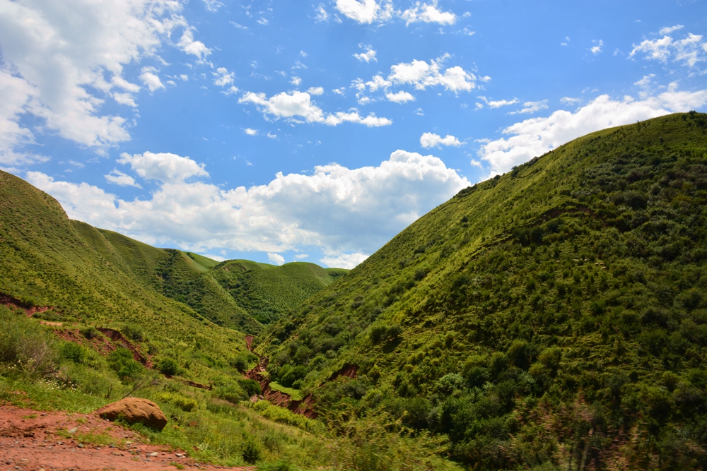 ʯ������ 225_����.jpg